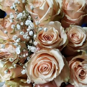 Meet your Posher, Rachel